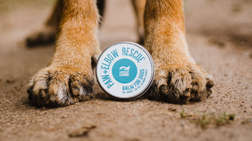Legendary Canine Paw & Elbow Rescue - 60 mL