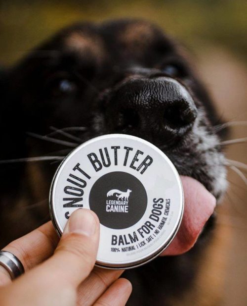 Legendary Canine Snout Butter - 60 mL