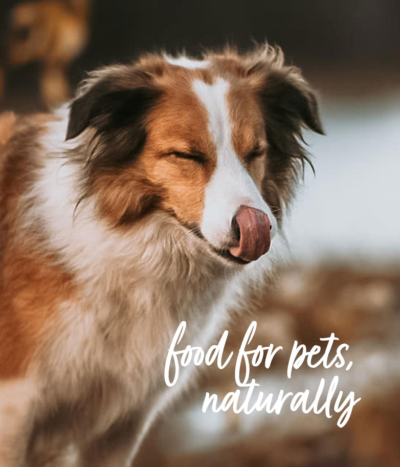 food-for-pets-naturally-2