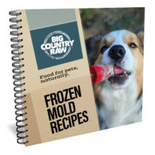 Frozen Mold Recipe Book