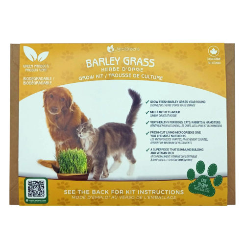 UgroGreens Barley Grass Microgreens