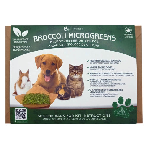 UgroGreens Broccoli Microgreens